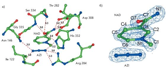 https://cdn.ncbi.nlm.nih.gov/pmc/blobs/35d7/3347530/93ecde5ea82a/AN20758251-03-089-g004.jpg
