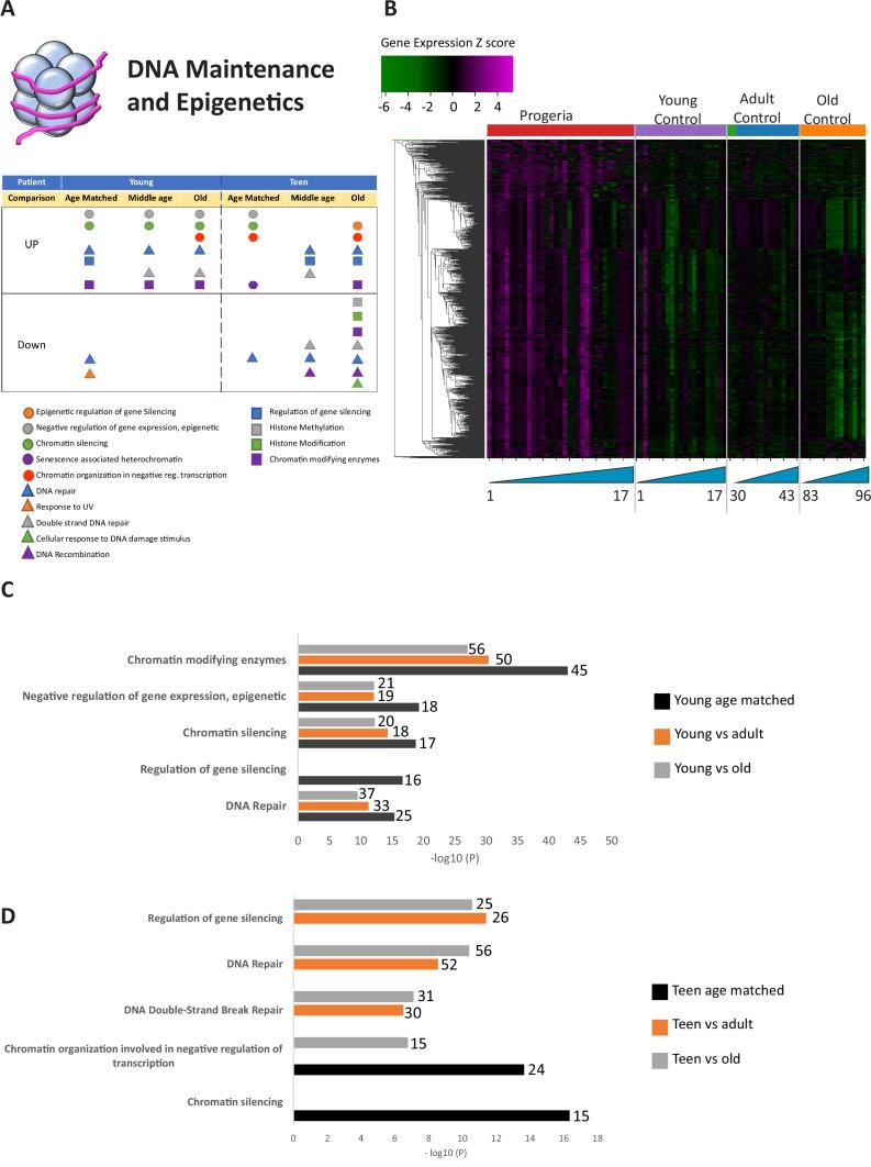 https://cdn.ncbi.nlm.nih.gov/pmc/blobs/35d7/9833827/2c4679cbdf6c/elife-81290-fig1.jpg