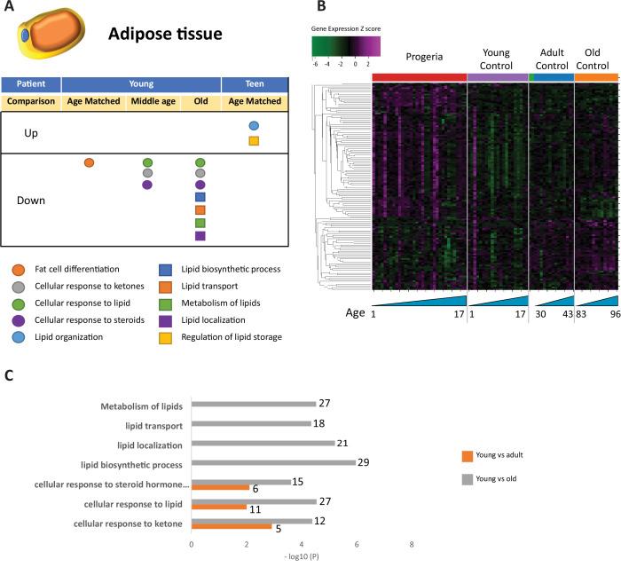 https://cdn.ncbi.nlm.nih.gov/pmc/blobs/35d7/9833827/4c9e5f11a702/elife-81290-fig4.jpg