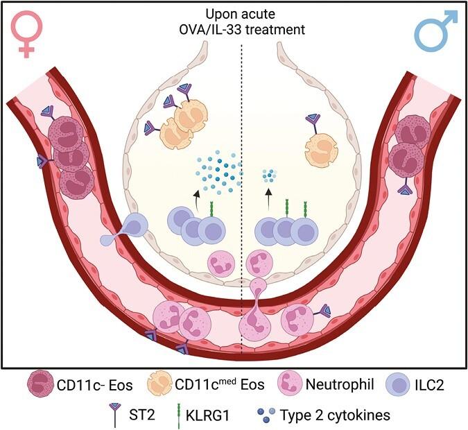 https://cdn.ncbi.nlm.nih.gov/pmc/blobs/35da/10929703/b95327ab2e27/uxad100_fig7.jpg