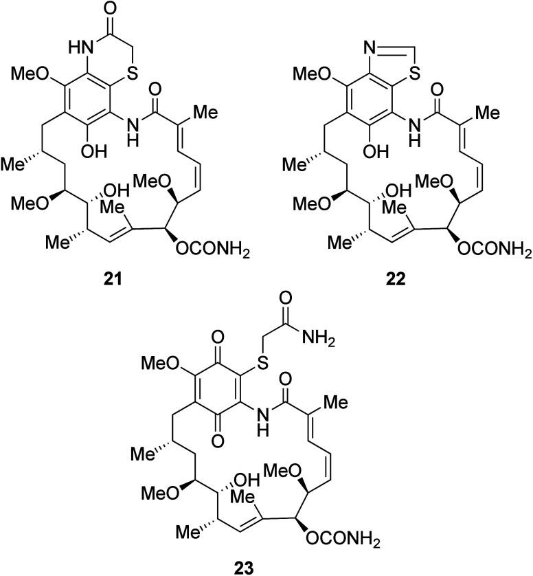 https://cdn.ncbi.nlm.nih.gov/pmc/blobs/35da/11513894/371e678254e0/jm4c01048_0006.jpg
