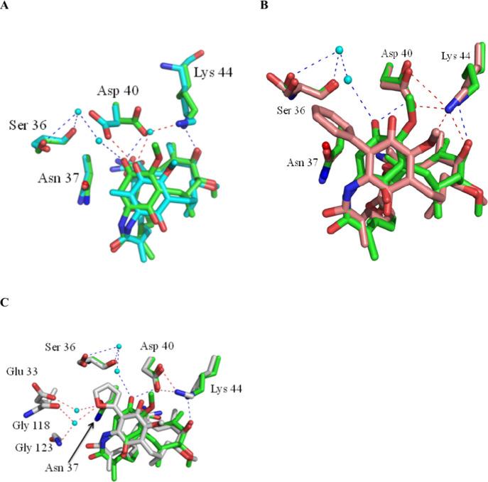 https://cdn.ncbi.nlm.nih.gov/pmc/blobs/35da/11513894/535f31f27aa1/jm4c01048_0008.jpg