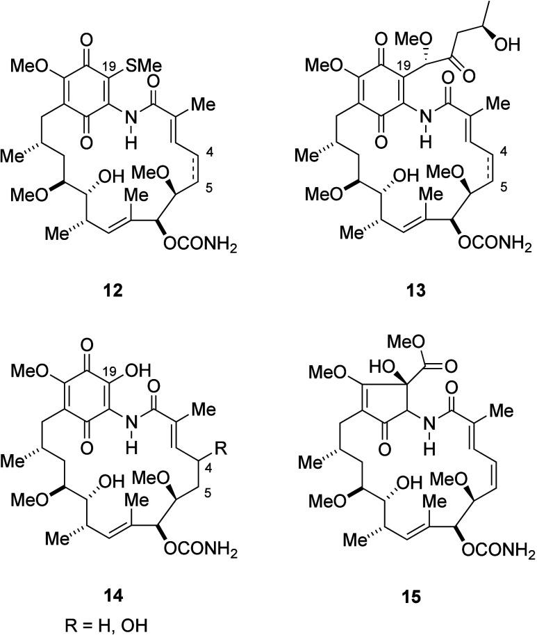 https://cdn.ncbi.nlm.nih.gov/pmc/blobs/35da/11513894/57c597535e55/jm4c01048_0005.jpg