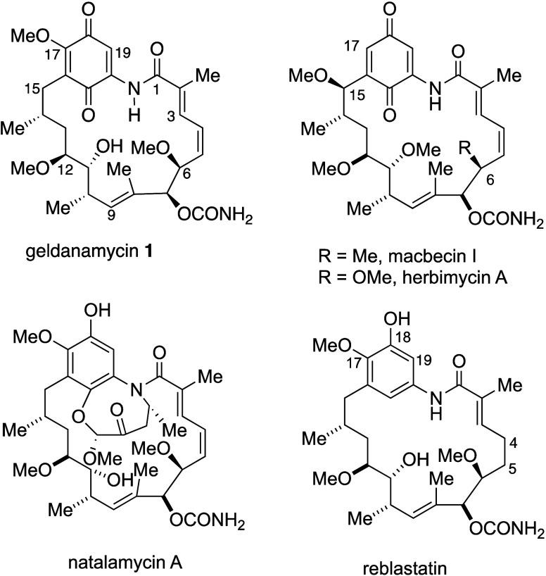 https://cdn.ncbi.nlm.nih.gov/pmc/blobs/35da/11513894/d0118a6c90f9/jm4c01048_0004.jpg