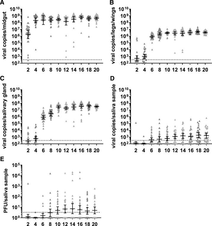 https://cdn.ncbi.nlm.nih.gov/pmc/blobs/35da/7410437/eb0d85f9c188/tpmd200143f3.jpg