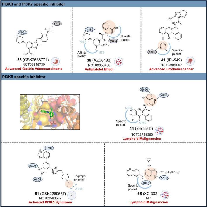https://cdn.ncbi.nlm.nih.gov/pmc/blobs/35db/11316348/13878cd86f5d/12943_2024_2072_Fig6_HTML.jpg