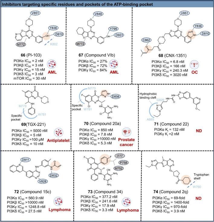 https://cdn.ncbi.nlm.nih.gov/pmc/blobs/35db/11316348/25906af61991/12943_2024_2072_Fig8_HTML.jpg