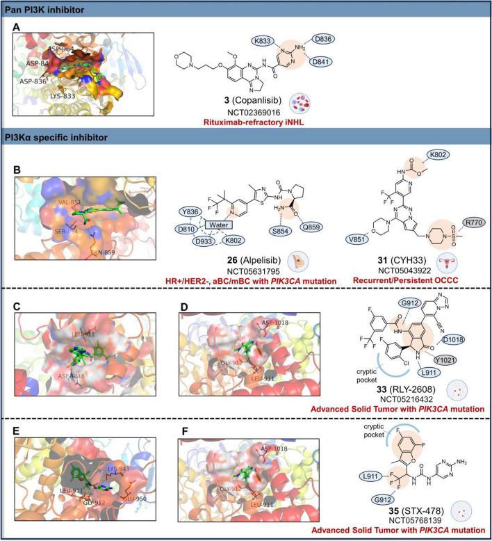 https://cdn.ncbi.nlm.nih.gov/pmc/blobs/35db/11316348/8634f9be8138/12943_2024_2072_Fig5_HTML.jpg