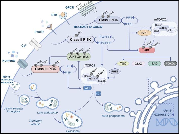 https://cdn.ncbi.nlm.nih.gov/pmc/blobs/35db/11316348/d55f71cca5b9/12943_2024_2072_Fig3_HTML.jpg