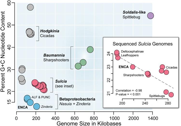 https://cdn.ncbi.nlm.nih.gov/pmc/blobs/35dd/5533117/1b22bc7e1ea5/evx134f2.jpg