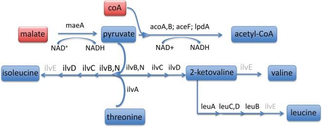 https://cdn.ncbi.nlm.nih.gov/pmc/blobs/35dd/5533117/999d79ef079b/evx134f6.jpg