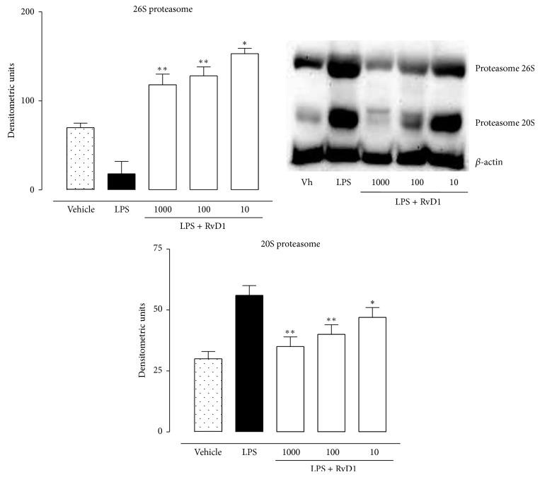 https://cdn.ncbi.nlm.nih.gov/pmc/blobs/35e1/4312647/3d7b97ad0770/MI2015-149381.008.jpg