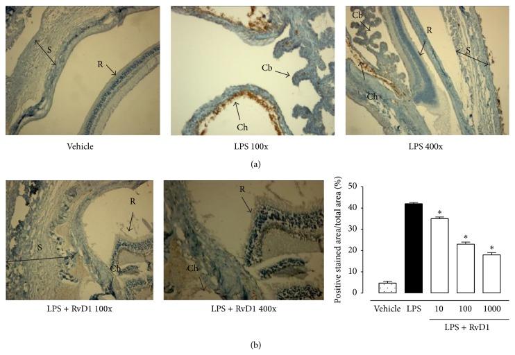 https://cdn.ncbi.nlm.nih.gov/pmc/blobs/35e1/4312647/78d3e98d4c36/MI2015-149381.002.jpg