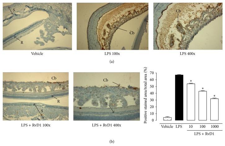 https://cdn.ncbi.nlm.nih.gov/pmc/blobs/35e1/4312647/d2b3299a38c8/MI2015-149381.003.jpg