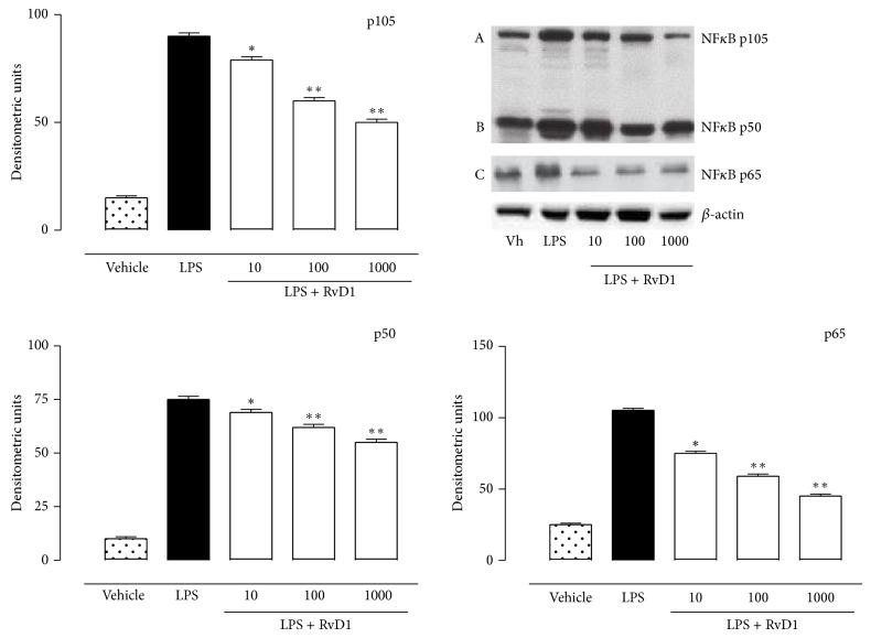 https://cdn.ncbi.nlm.nih.gov/pmc/blobs/35e1/4312647/d74998d9458e/MI2015-149381.006.jpg