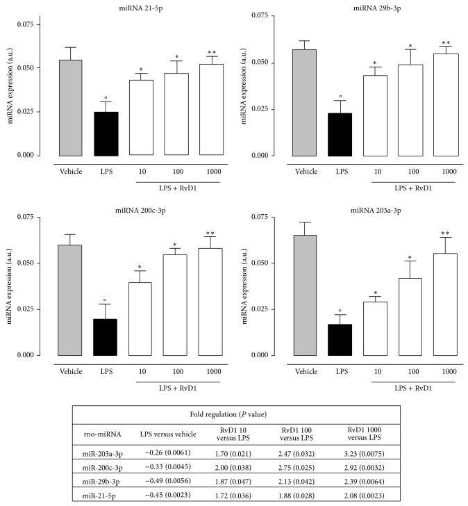 https://cdn.ncbi.nlm.nih.gov/pmc/blobs/35e1/4312647/f8064a9a1d7a/MI2015-149381.004.jpg