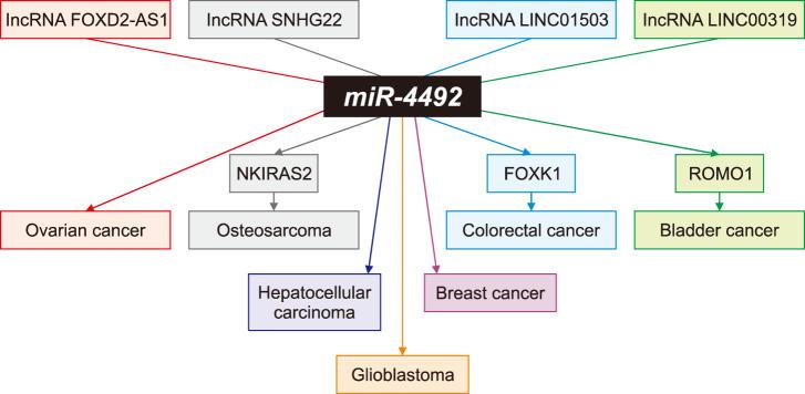 https://cdn.ncbi.nlm.nih.gov/pmc/blobs/35e2/10828084/ae03b555e2a4/cmj-60-21-g001.jpg
