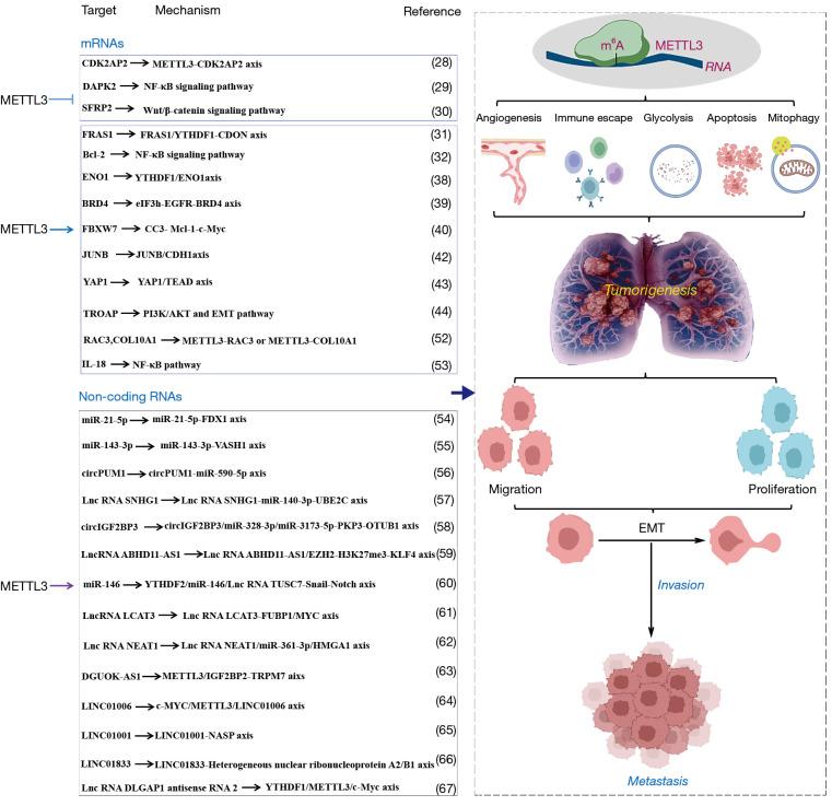 https://cdn.ncbi.nlm.nih.gov/pmc/blobs/35e2/11157379/919f953c59ea/tlcr-13-05-1121-f3.jpg