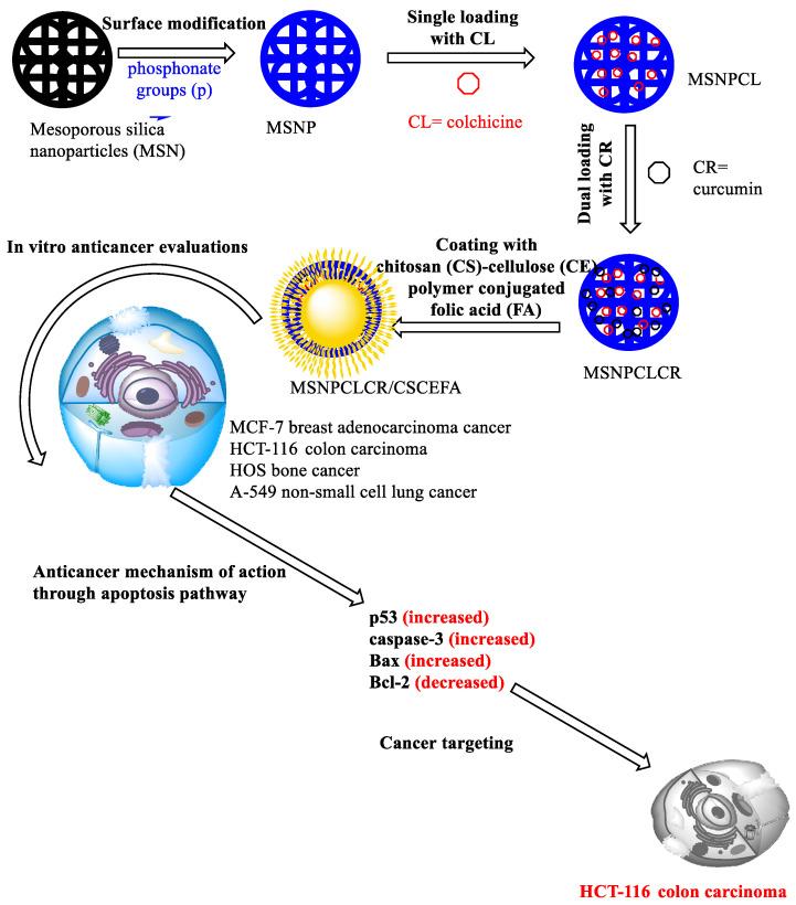 https://cdn.ncbi.nlm.nih.gov/pmc/blobs/35e2/9785757/2368ec421185/pharmaceutics-14-02770-sch001.jpg