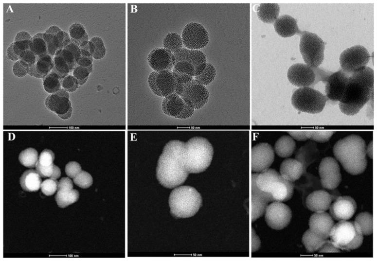 https://cdn.ncbi.nlm.nih.gov/pmc/blobs/35e2/9785757/9c2bba82ccfa/pharmaceutics-14-02770-g001.jpg