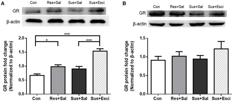 https://cdn.ncbi.nlm.nih.gov/pmc/blobs/35e3/5440566/822c0398c3b8/fnins-11-00287-g0006.jpg