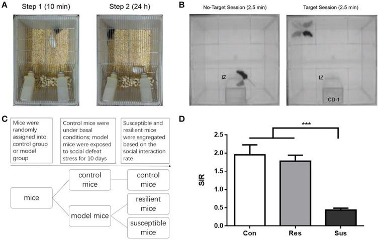 https://cdn.ncbi.nlm.nih.gov/pmc/blobs/35e3/5440566/c7bf315eb001/fnins-11-00287-g0001.jpg
