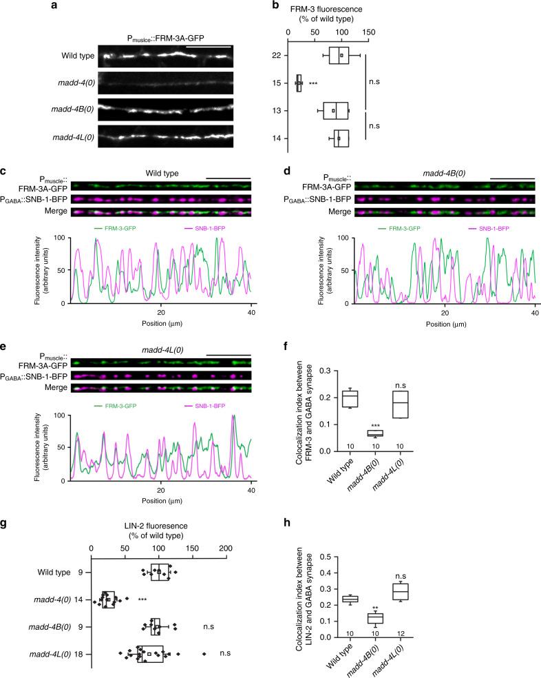 https://cdn.ncbi.nlm.nih.gov/pmc/blobs/35e3/7260190/651b642c2b12/41467_2020_16473_Fig7_HTML.jpg