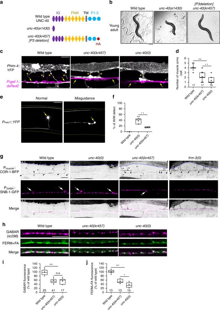 https://cdn.ncbi.nlm.nih.gov/pmc/blobs/35e3/7260190/ab7b2cca2bc3/41467_2020_16473_Fig5_HTML.jpg