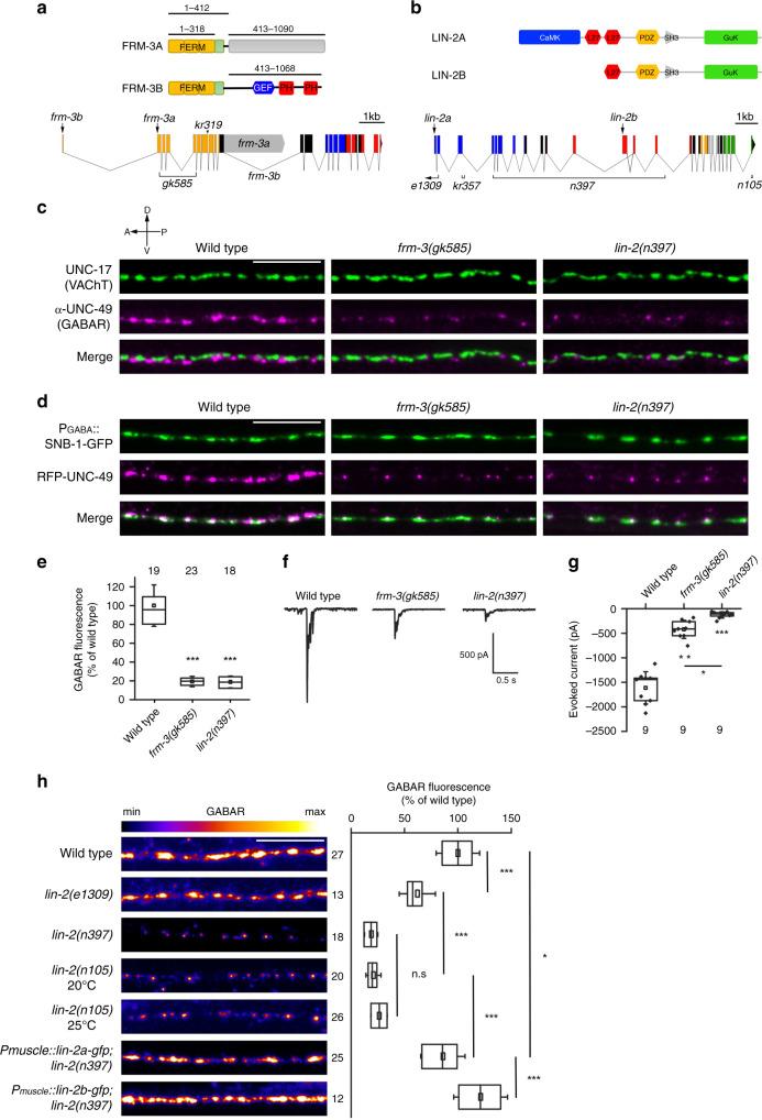 https://cdn.ncbi.nlm.nih.gov/pmc/blobs/35e3/7260190/b6737f2504e0/41467_2020_16473_Fig1_HTML.jpg
