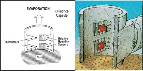 https://cdn.ncbi.nlm.nih.gov/pmc/blobs/35e4/4964074/d9d85d2ca7d3/41038_2016_36_Fig9_HTML.jpg