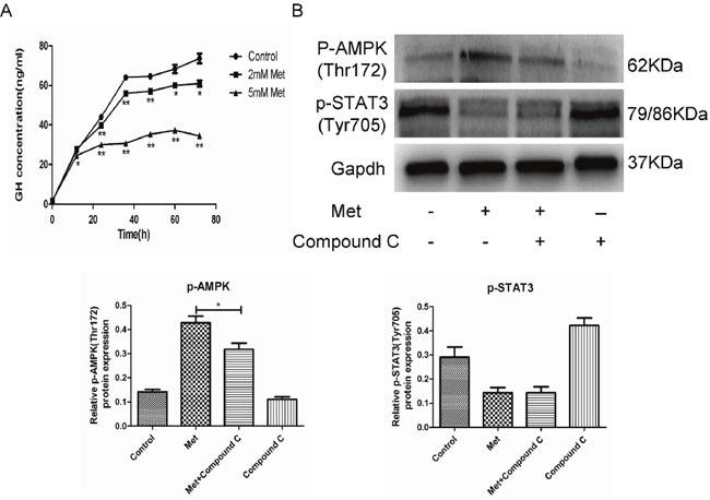 https://cdn.ncbi.nlm.nih.gov/pmc/blobs/35e5/5514928/3cbdd0bf74a3/oncotarget-08-37538-g003.jpg