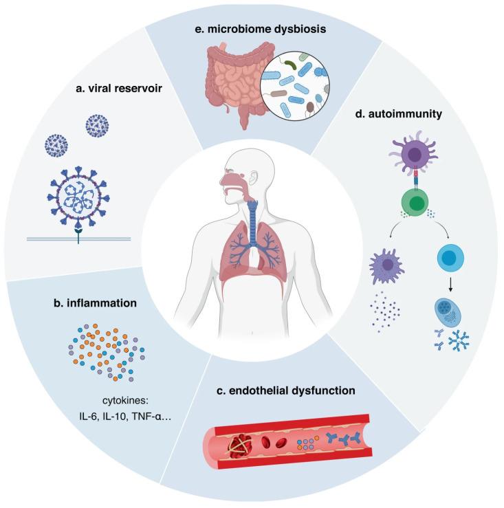 https://cdn.ncbi.nlm.nih.gov/pmc/blobs/35e6/11171614/6719c66ab898/diagnostics-14-01168-g003.jpg