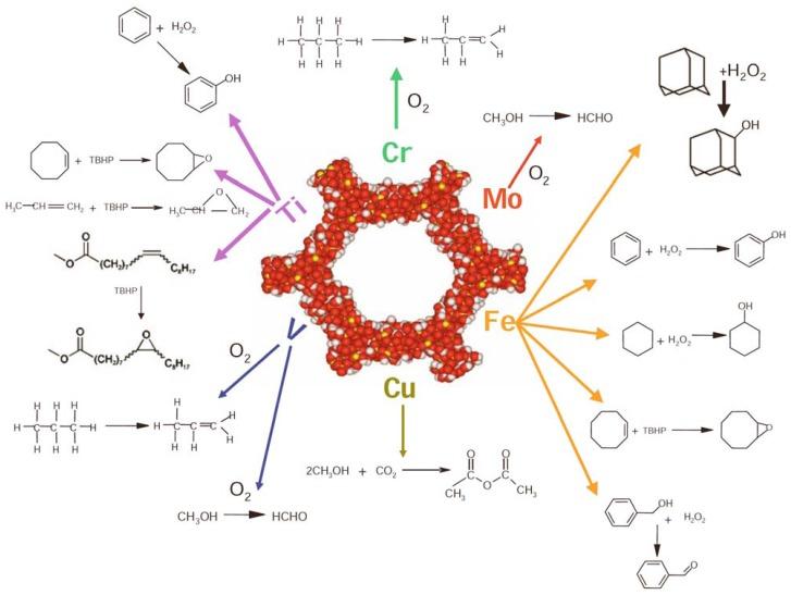 https://cdn.ncbi.nlm.nih.gov/pmc/blobs/35ea/6264315/686ba4c23ca7/molecules-15-03829-g008.jpg