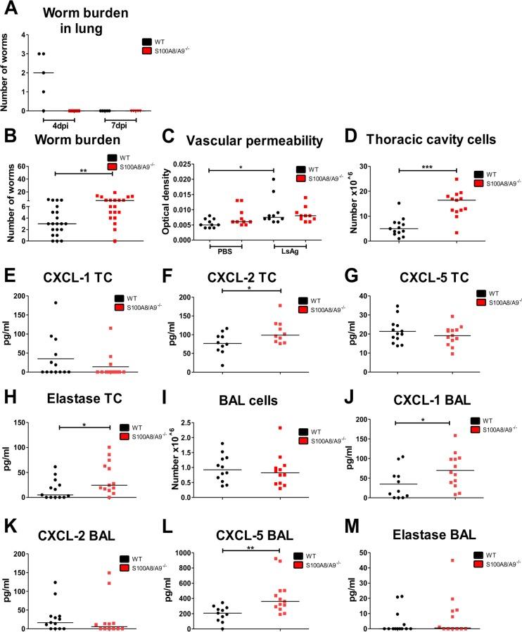https://cdn.ncbi.nlm.nih.gov/pmc/blobs/35ea/7064255/3af73c77c8f9/pntd.0008119.g006.jpg