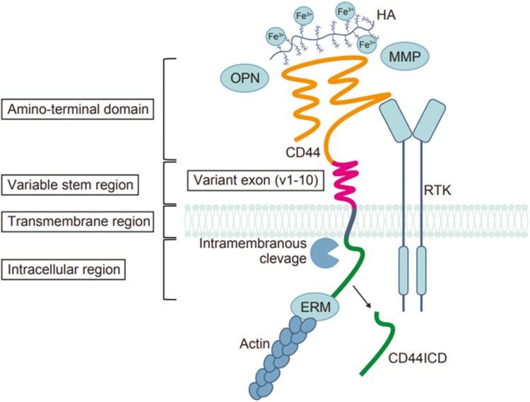 https://cdn.ncbi.nlm.nih.gov/pmc/blobs/35eb/12126136/6d01e5cff725/sxaf024_fig1.jpg