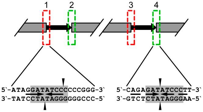 https://cdn.ncbi.nlm.nih.gov/pmc/blobs/35ec/3517423/79b369c70c46/pone.0051163.g007.jpg