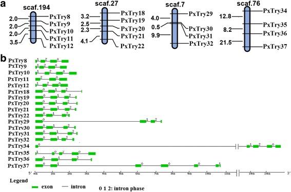 https://cdn.ncbi.nlm.nih.gov/pmc/blobs/35ef/4676143/8357cdbded2f/12864_2015_2243_Fig1_HTML.jpg