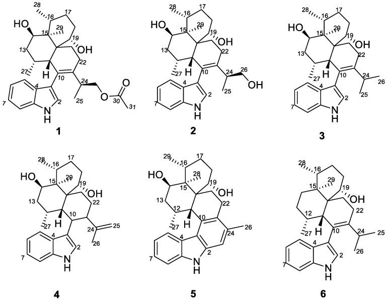 https://cdn.ncbi.nlm.nih.gov/pmc/blobs/35f1/10707737/5f118691c2ec/molecules-28-07931-g001.jpg
