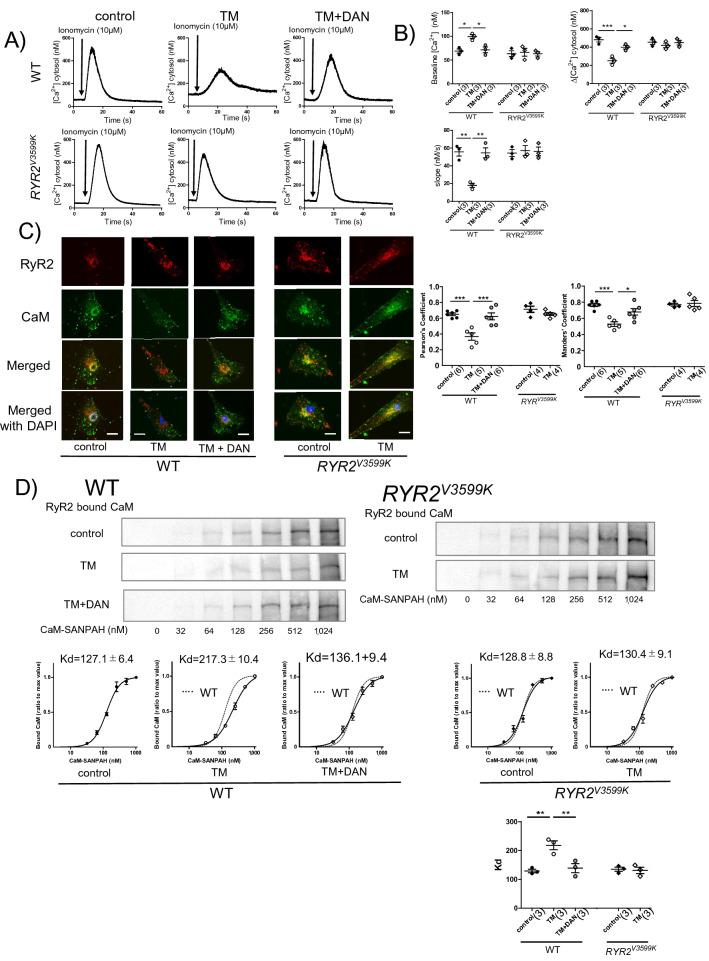 https://cdn.ncbi.nlm.nih.gov/pmc/blobs/35f5/8012710/752376969b13/41598_2021_86822_Fig4_HTML.jpg