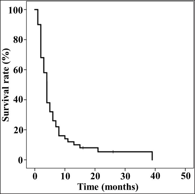 https://cdn.ncbi.nlm.nih.gov/pmc/blobs/35f8/6368232/c87aad1b4311/oncotarget-10-847-g001A.jpg