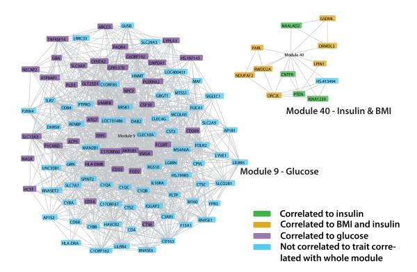 https://cdn.ncbi.nlm.nih.gov/pmc/blobs/35f9/2925326/7816821b6312/1755-8794-3-34-5.jpg