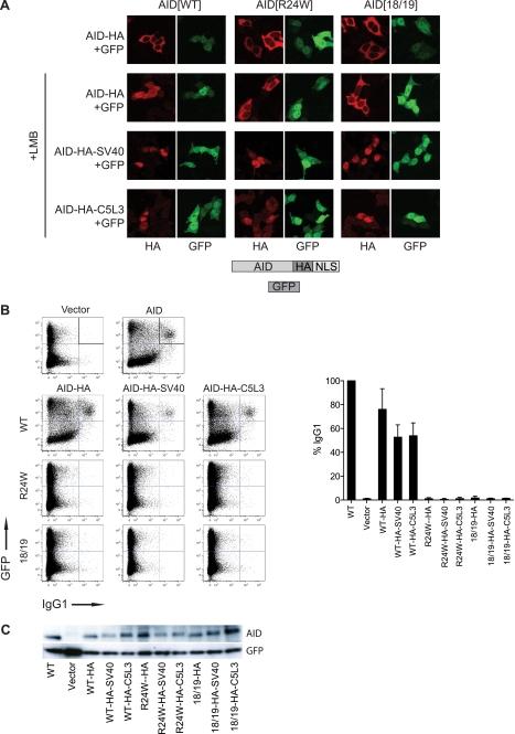 https://cdn.ncbi.nlm.nih.gov/pmc/blobs/35fd/3089553/de883fad9031/zbc0231160760007.jpg