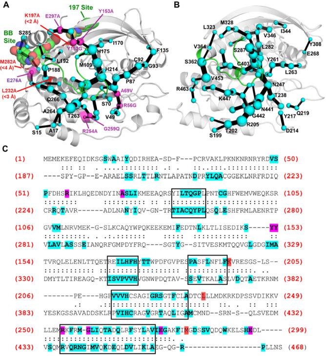 https://cdn.ncbi.nlm.nih.gov/pmc/blobs/35fd/8031367/8173f026976c/ja0c11806_0006.jpg