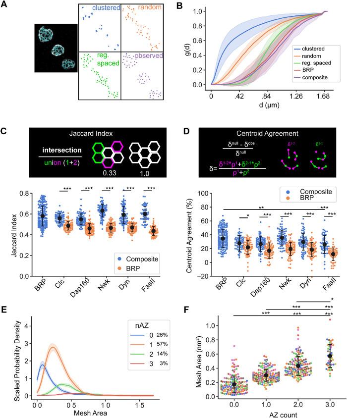 https://cdn.ncbi.nlm.nih.gov/pmc/blobs/3601/10208105/6ffeb8be3866/mbc-34-ar51-g003.jpg