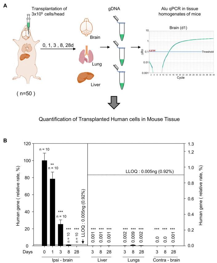 https://cdn.ncbi.nlm.nih.gov/pmc/blobs/3602/10686801/31088a49834e/ijsc-16-4-415-f2.jpg