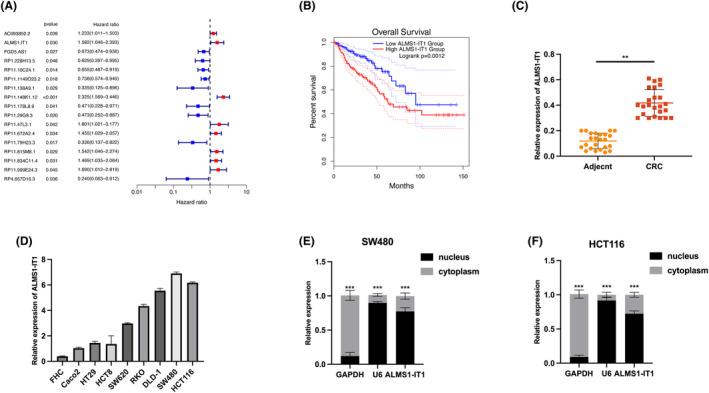 https://cdn.ncbi.nlm.nih.gov/pmc/blobs/3604/11436373/696094dfd46f/JCMM-28-e70103-g007.jpg