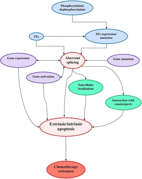https://cdn.ncbi.nlm.nih.gov/pmc/blobs/3604/5018179/557f613910ae/13045_2016_315_Fig1_HTML.jpg