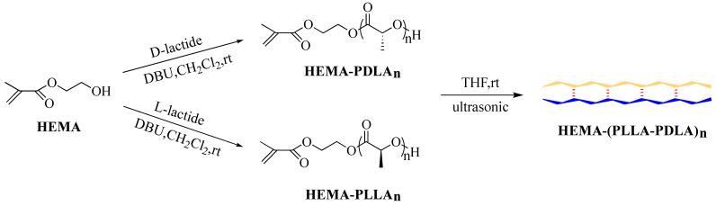 https://cdn.ncbi.nlm.nih.gov/pmc/blobs/3606/11275505/146d45937bb6/gels-10-00480-sch001.jpg
