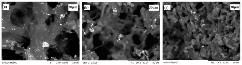 https://cdn.ncbi.nlm.nih.gov/pmc/blobs/3606/11275505/9840e5e31e31/gels-10-00480-g006.jpg