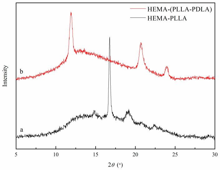 https://cdn.ncbi.nlm.nih.gov/pmc/blobs/3606/11275505/e599e7391ac8/gels-10-00480-g003.jpg
